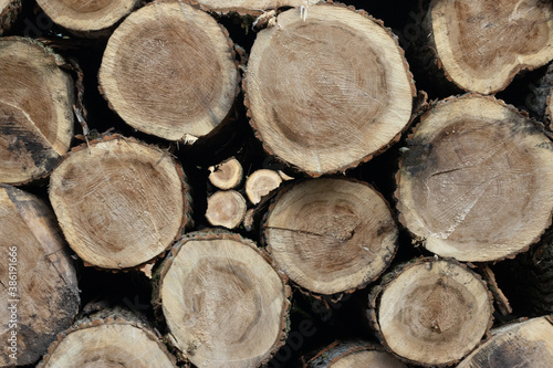  Stack of round wood  logging trees 
