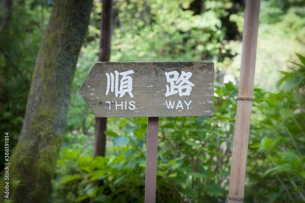 Signpost saying this way in Japanese and English in forest