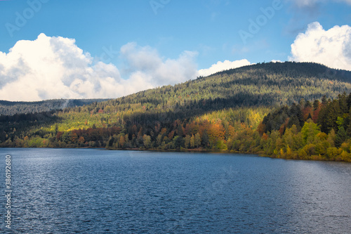 An autumn scene at a lake in the black forest
