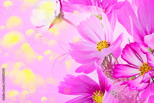 Bright background with pink flowers. Floral background with bokeh