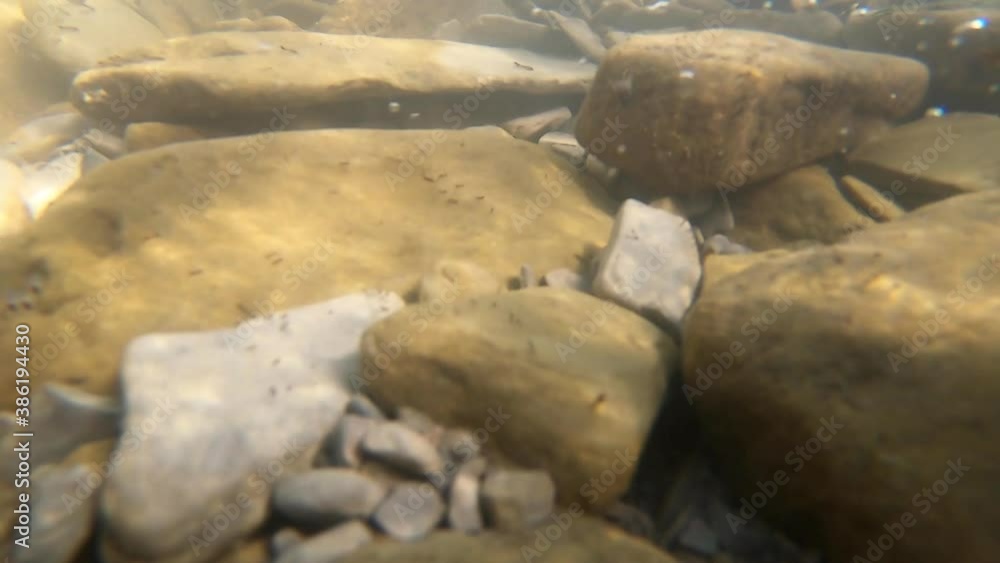 Stones at the bottom of a mountain river and air bubbles Stones at the bottom of a mountain river and air bubbles