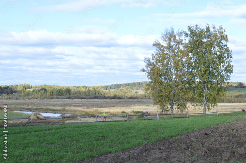 Fototapeta premium golden autumn in Pushkin places