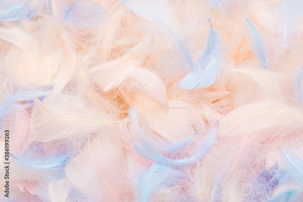 Colorful feather background, top view. Colorful feather background, top view.