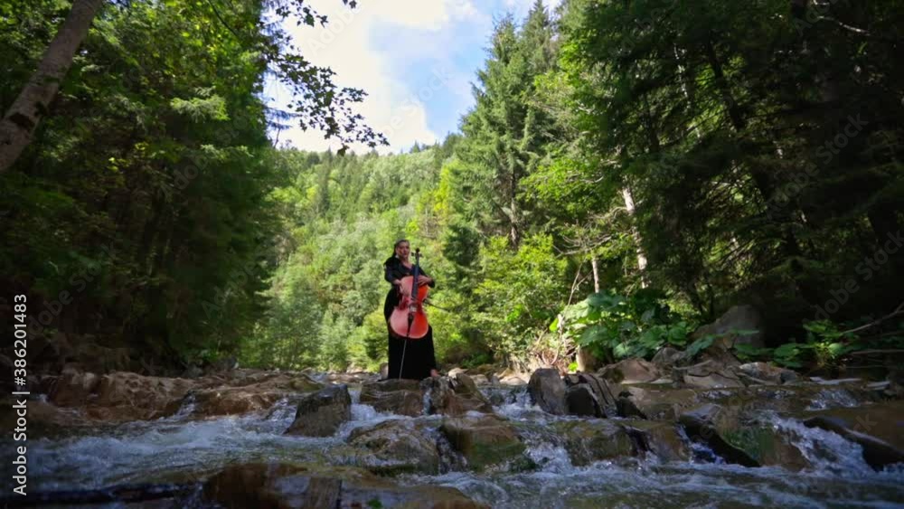 Woman plays the cello in nature. Female musician in black dress performing music in the forest among water. Violinist stands on stones of a shallow river. Woman plays the cello in nature. Female musician in black dress performing music in the forest among water. Violinist stands on stones of a shallow river.