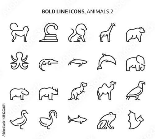 Photography Animals, bold line icons