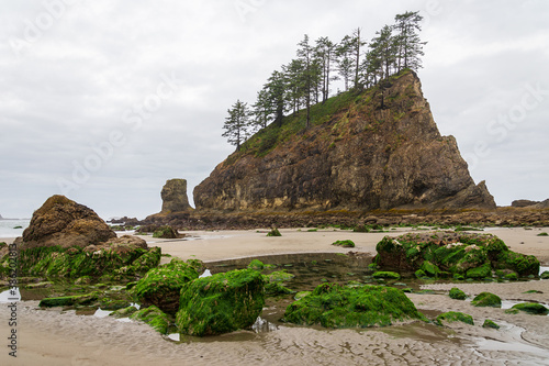 Rock and sea during low tide photo