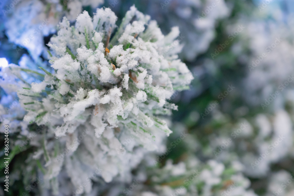 Closeup Christmas tree with snow background Closeup Christmas tree with snow background