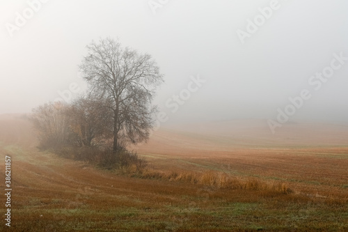 Misty field © Kai