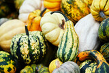 Assortment of different types of pumpkin, halloween food