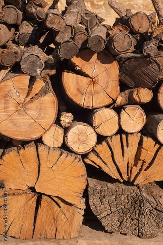 stack of firewood at the farmhouse detail with sunlight vertical