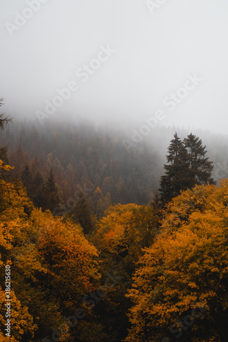 A dark foggy and misty rainy day in the beautiful mountains with colorful orange fall leaves. National Park Harz