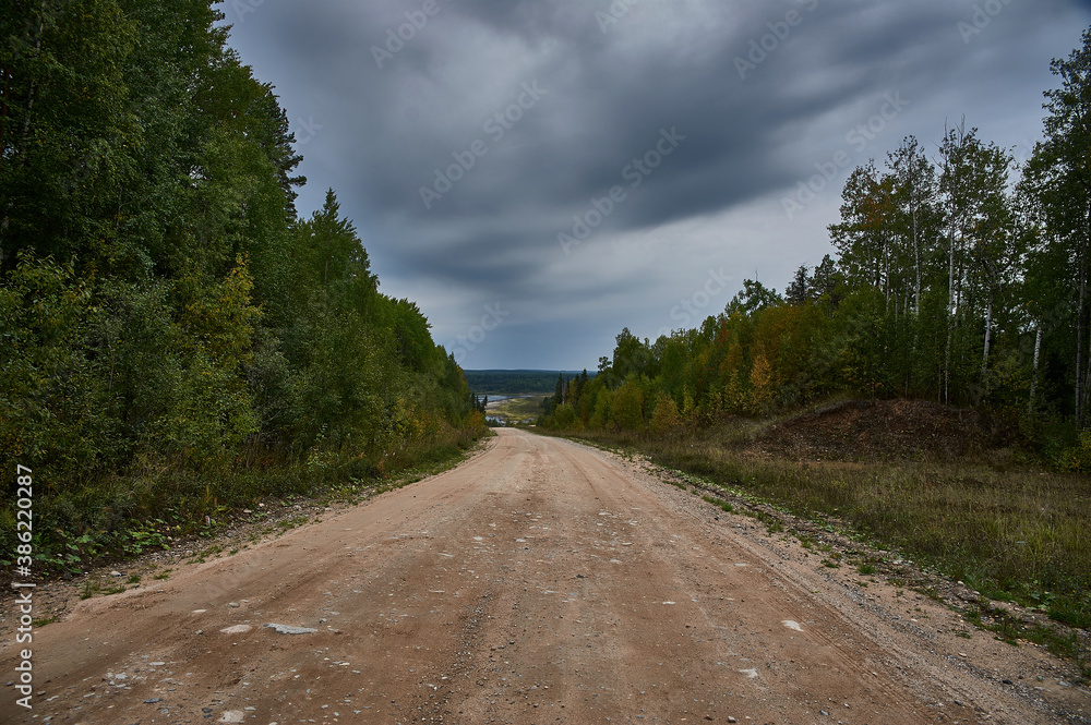 Fototapeta premium Forest dirt road in the wilderness along the river