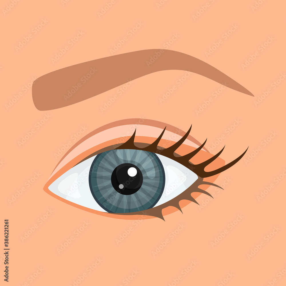 Open female eye with eyelashes and an eyebrow in a cartoon style. Close-up eye. Vector illustration. Open female eye with eyelashes and an eyebrow in a cartoon style. Close-up eye. Vector illustration.