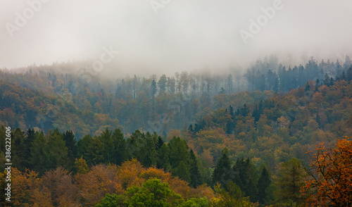 View on Sudetes mountains, forest in a autumn fog time.