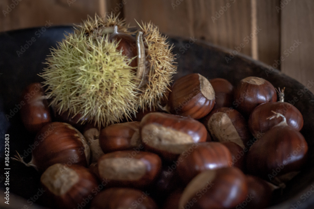sweet chestnuts rustic composition on daylight sweet chestnuts rustic composition on daylight