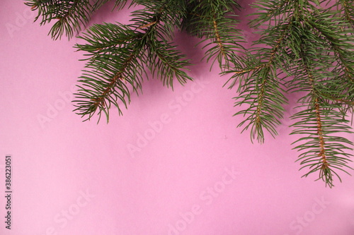 new year's Christmas background branch of spruce pine trees on a pink background for women girls with space for text copy space