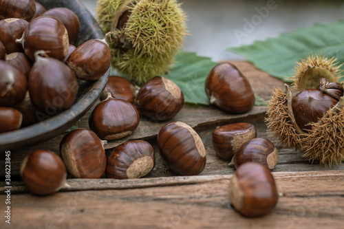 sweet chestnuts rustic composition on daylight