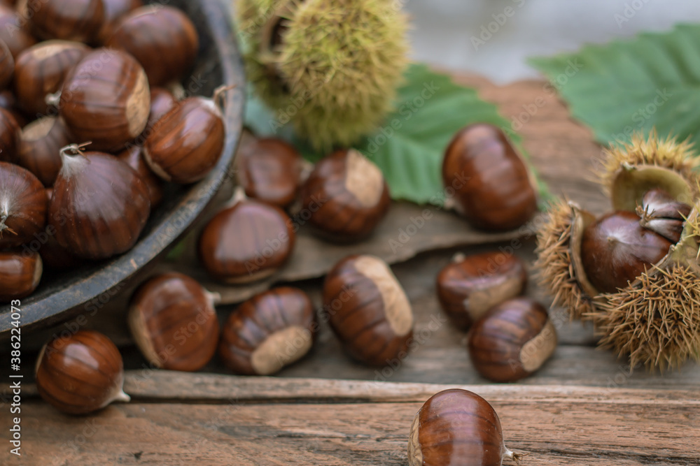 sweet chestnuts rustic composition on daylight sweet chestnuts rustic composition on daylight