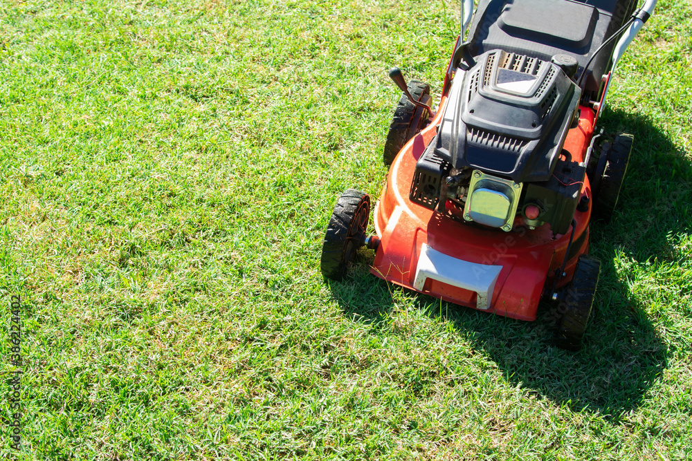 Obraz premium lawn mower in the garden