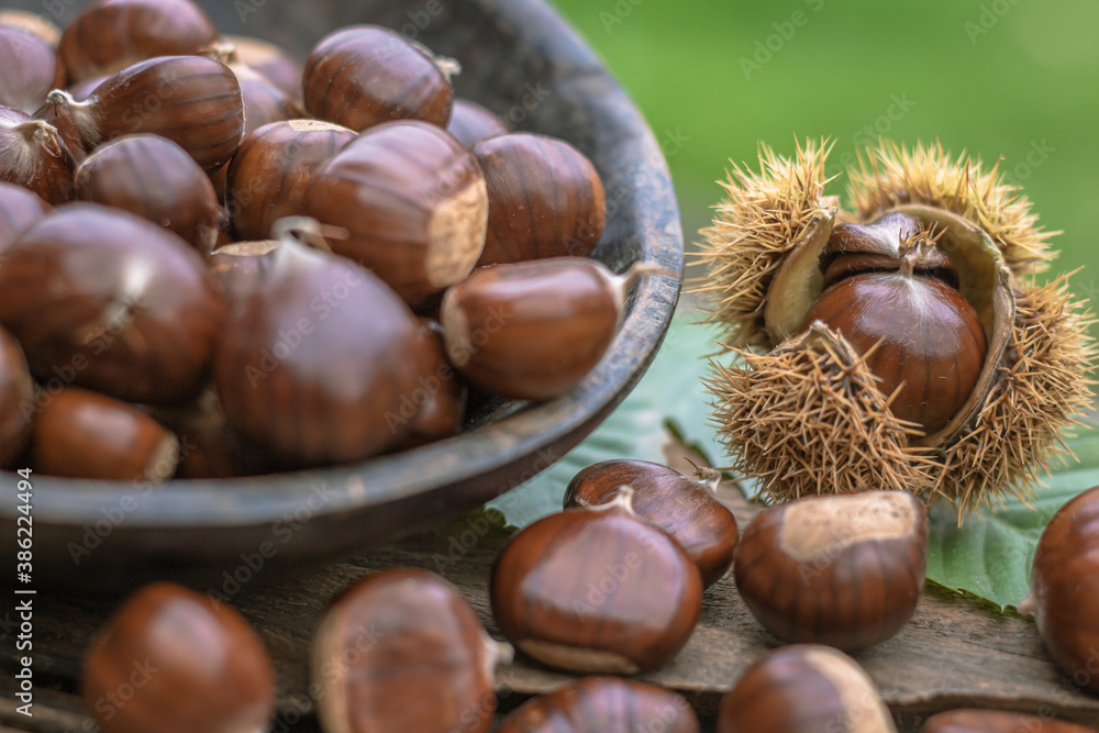 sweet chestnuts rustic composition on daylight sweet chestnuts rustic composition on daylight
