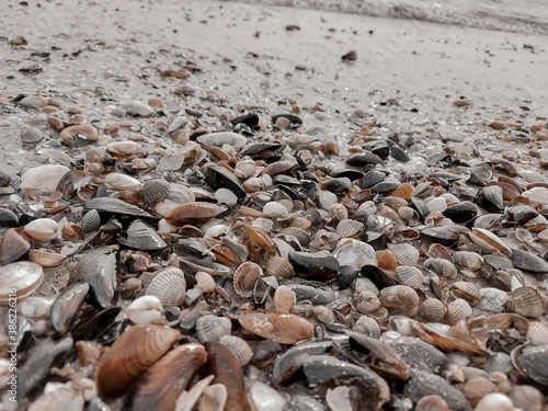 pebbles on the beach © Елена Лужник
