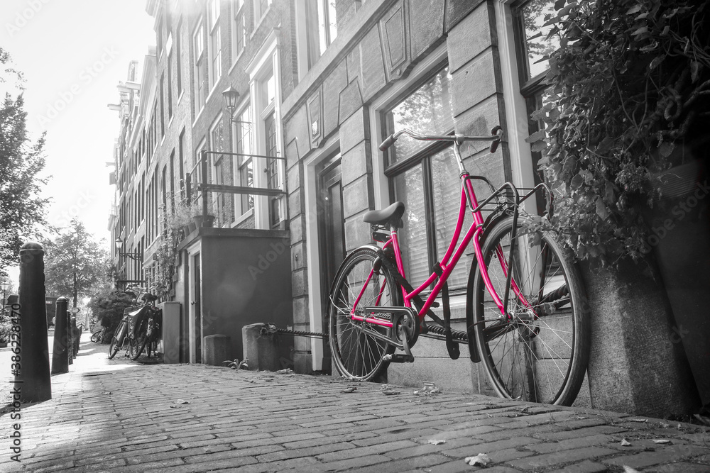 Fototapeta Zdjęcie samotnego różowego roweru na ulicy nad kanałem w Amsterdamie. Tło jest czarno-białe.