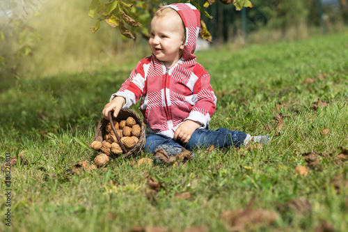 Smiling cool baby boy is holding scattered wicker basket with walnuts in the autumn garden.