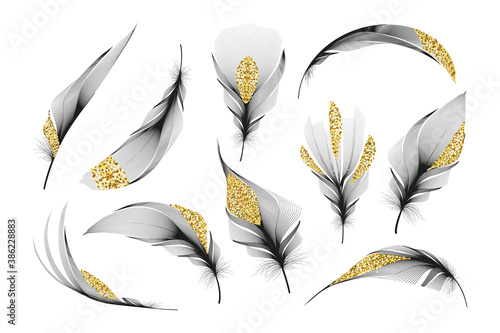 Vector gold feathers collection. Falling fluffy twirled feathers.