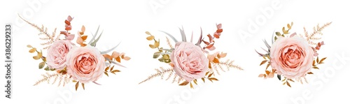 Vector floral bouquet design. Pink, blush peach Roses, fall, winter tones taupe, brown beige cream autumn Eucalyptus branch, leaves, fern. Wedding invite card decorative elegant watercolor element set
