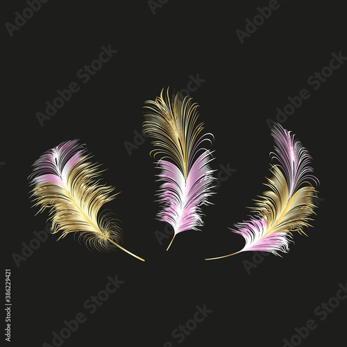 Vector gold feathers collection. Falling fluffy twirled feathers.