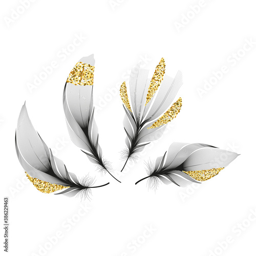 Vector gold feathers collection. Falling fluffy twirled feathers.