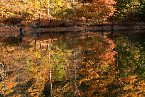 Autumn reflection