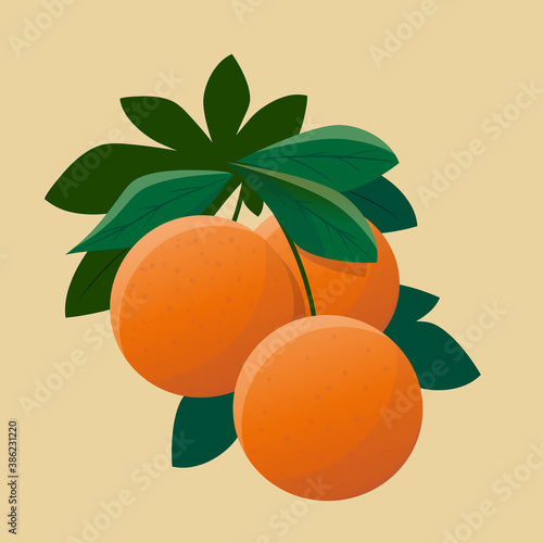 vector illustration of oranges with leaves
