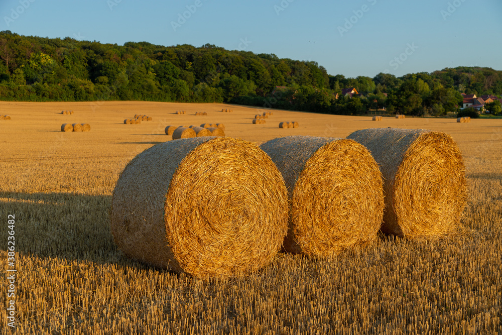 3 roles of strwa bales in the warm light of sunset
