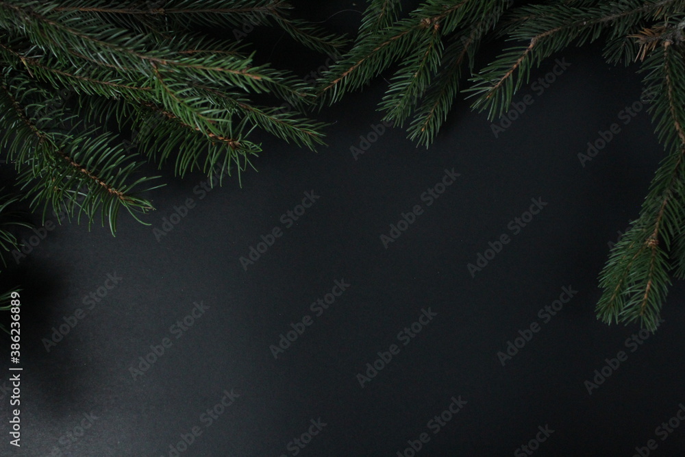 new year's Christmas holiday background a branch of spruce pine trees and a black background of copy space