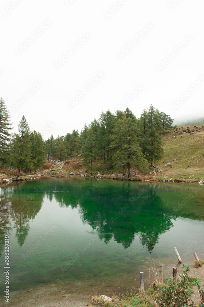 Fototapeta premium Lago Verde, Cervinia