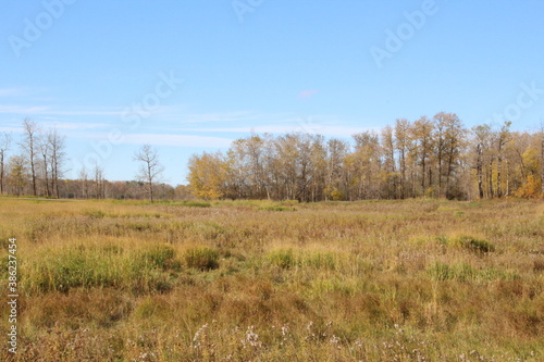 The Grasslands, Elk Island National Park, Alberta