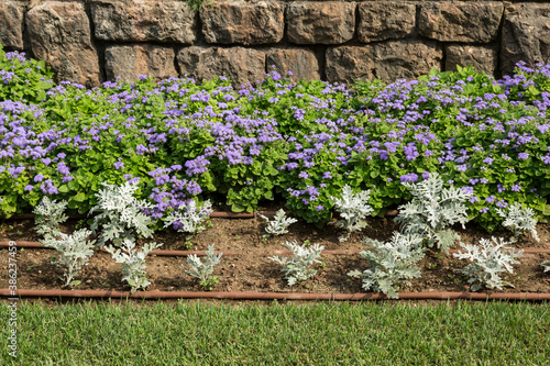 Efficiency and water saving with drip irrigation