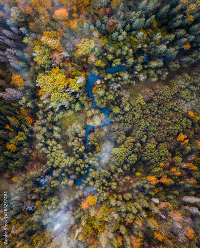 River flows through forest in misty morning. Aerial view over colorful trees in autumn makes a vibrant landscape. 