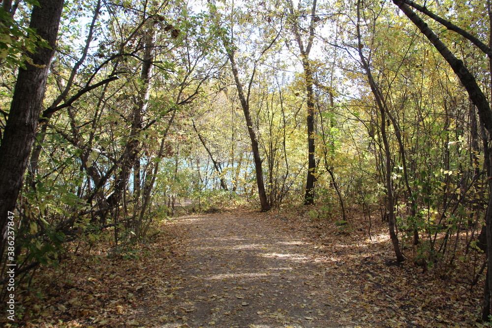 Autumn Down The Trail, Gold Bar Park, Edmonton, Alberta Autumn Down The Trail, Gold Bar Park, Edmonton, Alberta