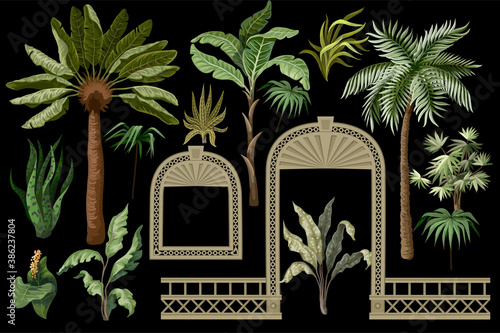 Tropical trees and windows, door openings in a garden style. Trendy interior elements isolated.