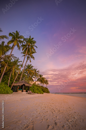 Beautiful beach. Palm trees on  sandy beach near the sea. Summer holiday and vacation  travel tourism. Inspirational tropical landscape. Tranquil scenery  relaxing beach  tropical landscape design 