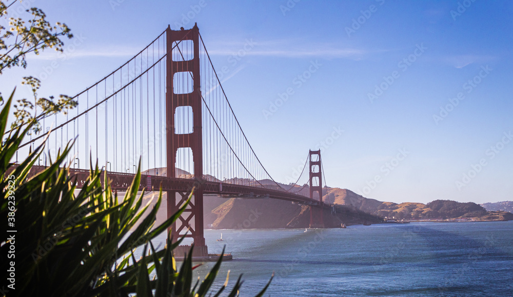 Fototapeta premium golden gate bridge