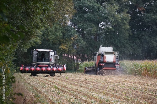 Zwei Maishäcksler bei der Arbeit auf einem Feld, Landwirtschaft © keBu.Medien
