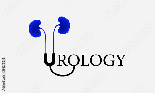 kidney logo icon designs vector, Urology logo icon designs vector