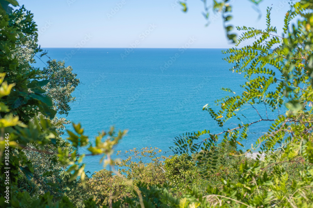 View of the  azure blue bright expanse of the sea / ocean  and surface of water from thickets of green fresh plants.