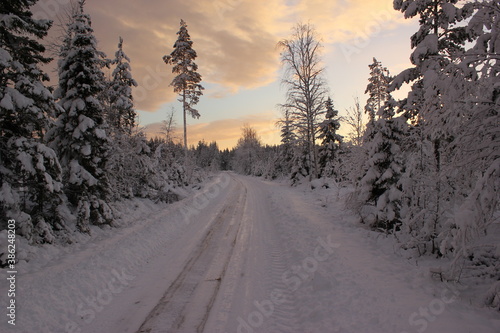 Winter Roads © James