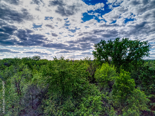 Aerial view of white clouds in a blue sky over tall trees rendered in HDR