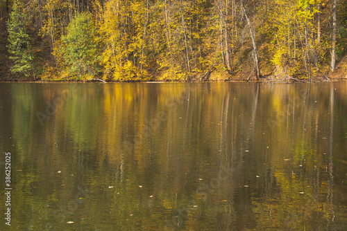 Colorful autumn forest reflected in the lake water