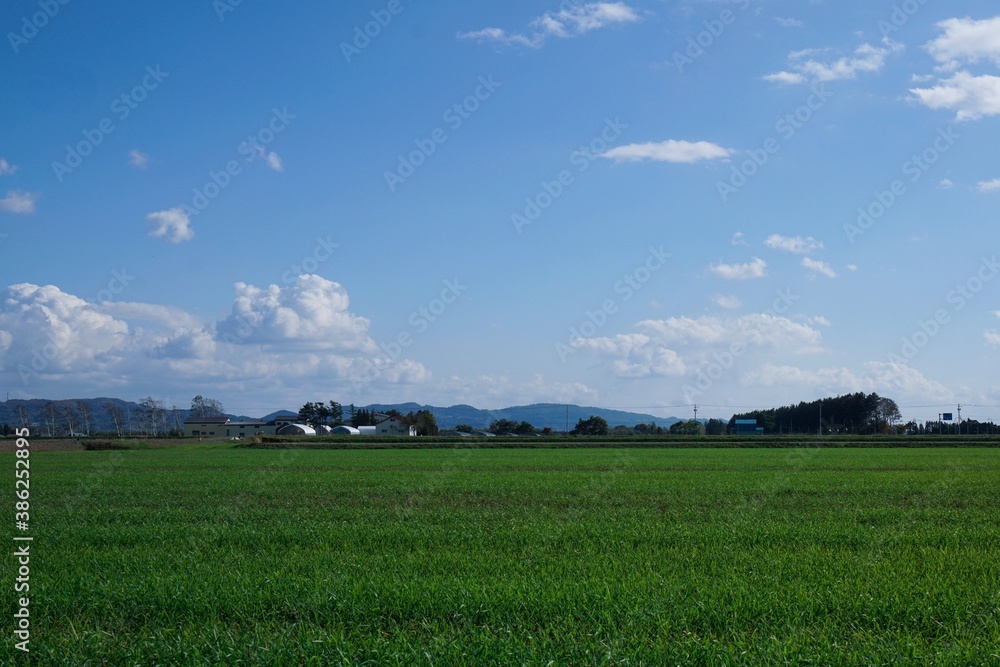 晴天の秋の空